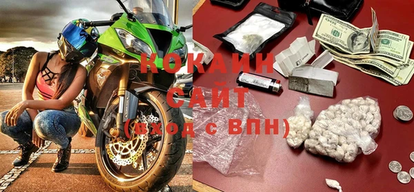 шишки Аркадак