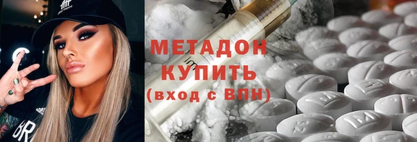 шишки Аркадак