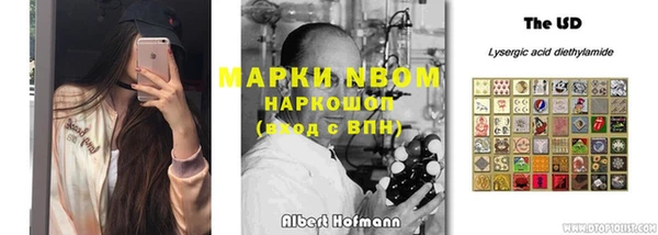 шишки Аркадак