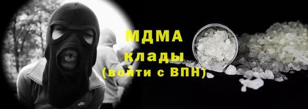 шишки Аркадак