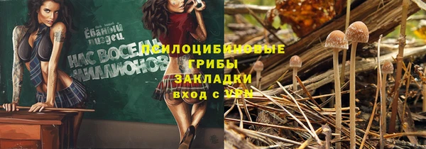 герыч Арсеньев