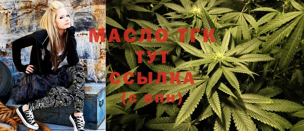 шишки Аркадак