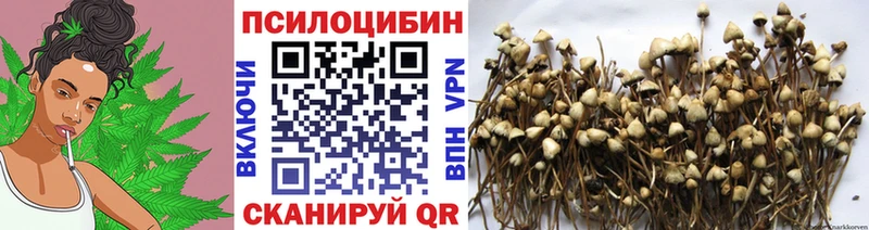 что такое наркотик  Суоярви  Галлюциногенные грибы Psilocybe 